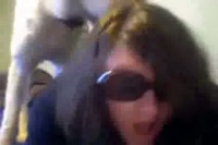 Webcam Lick With 2 Dogs